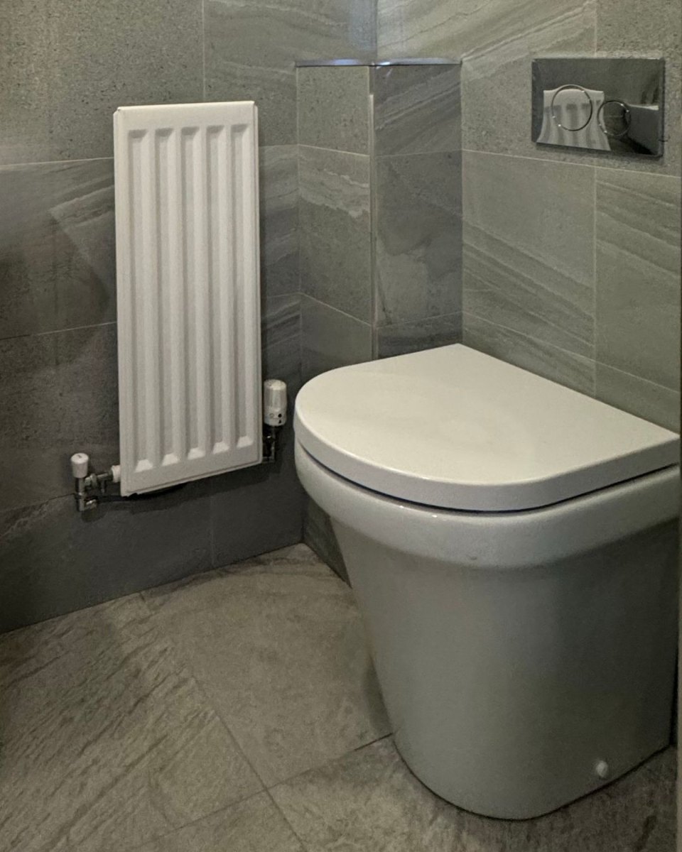 Professional toilet installation